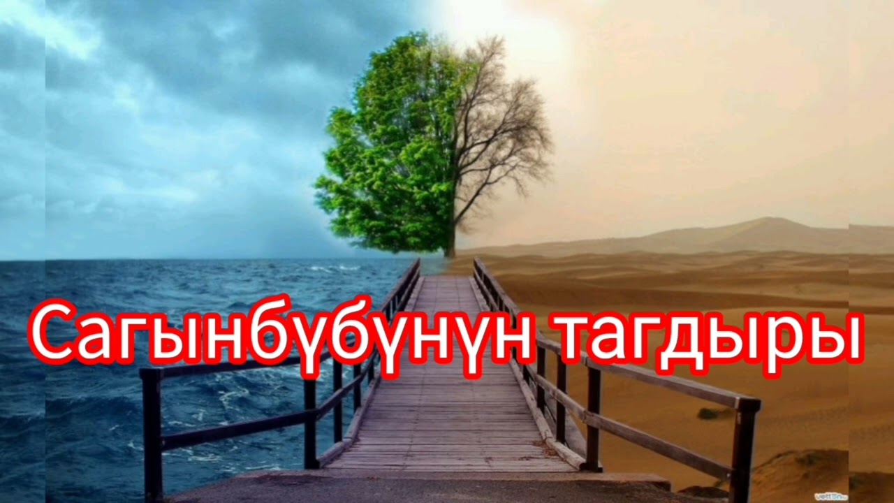 Сагынбунун тагдыры