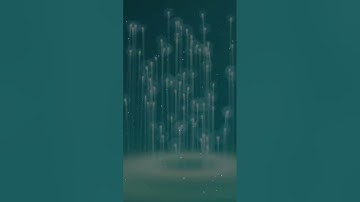 Be happy, life will be happier / دعاء من القران الكريم بصوت الرائع سعد الغامدي