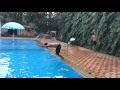 iphone 5s slow motion