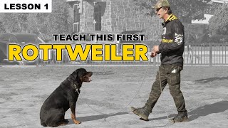 First Things to Teach Your Rottweiler  Dog Training