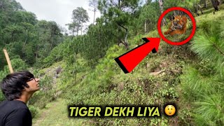 Sourav Joshi Ne Jungle Me Tiger Dekh Liya 😲 || @souravjoshivlogs7028 screenshot 4