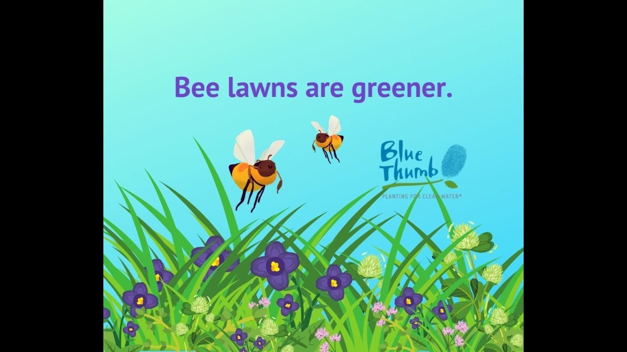 Bee Lawn webinar 2023