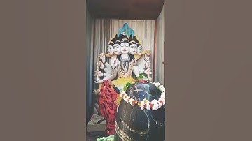 Mahadev Abhishek #status #whatsapp Mahakal Aarti #status #bholenath #shiv #mandir #shankar bholebaba