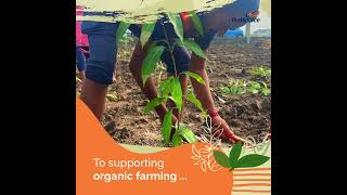 Earth Day | Employee Volunteering
