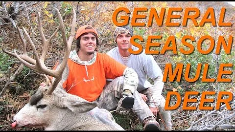 General Season Utah Mule Deer Hunt, Tines Up
