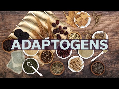 What are Adaptogens?