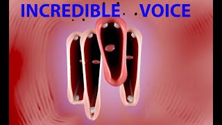 We play a funny choir / Fun Choir / Game screenshot 1