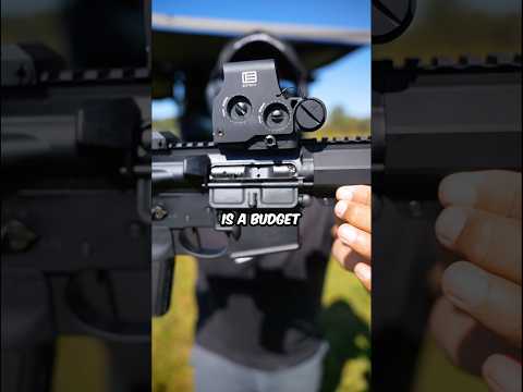 This Is A Budget Friendly Optic