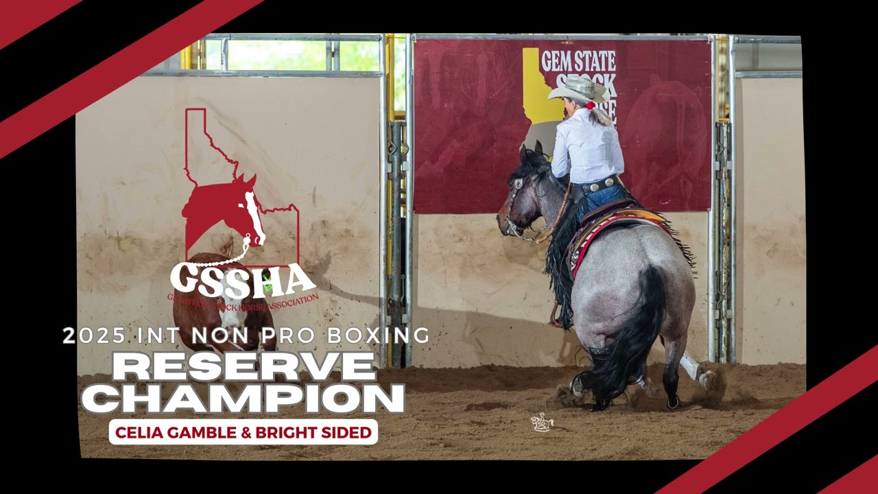 2025 Gem State Stock Horse Association Champions - YouTube