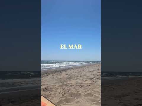 Quiero ir al MAR 🌊 #lacocinadeinmalopez #trending
