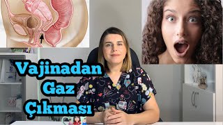 Vajinadan Gaz Çıkması Neden Olur? Gaz Sesi Gelmesi Nasıl Düzelir? - Op. Dr. Funda Yazıcı Erol Resimi