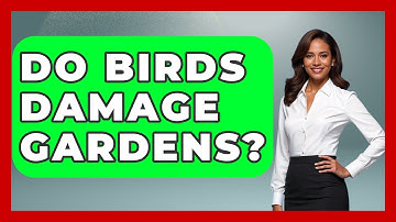 Do Birds Damage Gardens? - Insects and Invaders