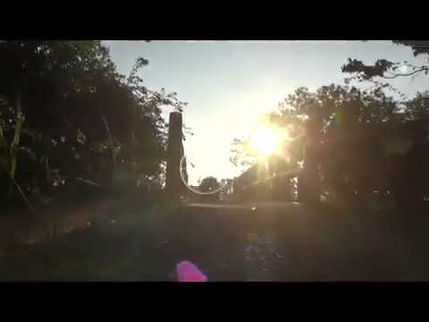 市之久田中央公園を散歩する。 YouTube