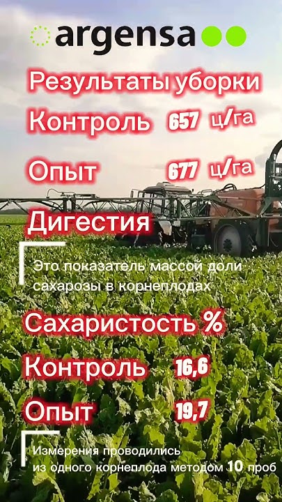 Результаты опыта на сахарной свекле. Защита от ГК #Аргенса #куртуан # ...