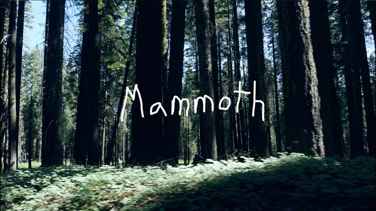 Mammoth 2018