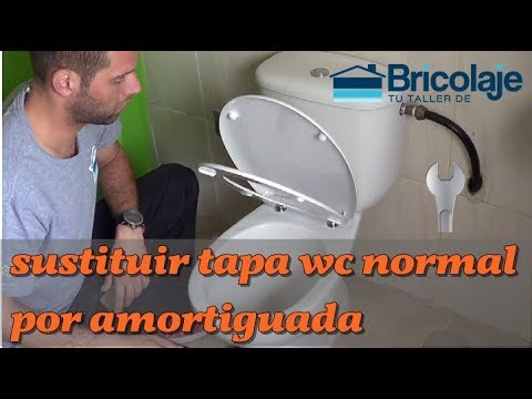 Fijar Tapa váter WC Roca Dama Senso y cambiar bisagras AI0002100R 