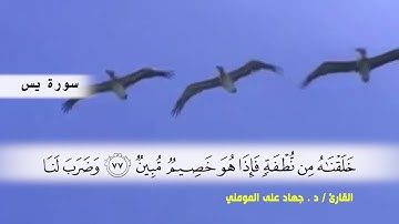 سوره يس ( ايه 60 ) و سوره الصافات ( ايه21 ) بصوت القارئ د.جهاد المومني