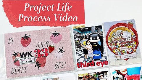 Project Life Process Video Using the June 2023 Documenter Kit from Studio Calico