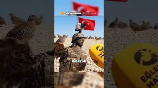 Bıldırcınlar Ve Keklikler Operasyonda