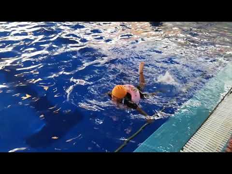 swim and sport near me