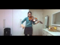 (Viola cover) Merry-go-round of Life
