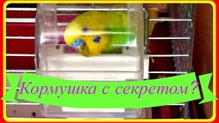Кормушка с секретом//Интересная кормушка для попугая//Птицы Кормушка с секретом//Интересная кормушка для попугая//Птицы