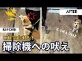 【吠え】掃除機破壊犬!?掃除機への吠え改善練習