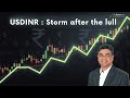 USDINR : Storm after the lull
