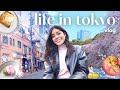 Life in Japan | living in Tokyo, cherry blossom spots, cafes 💘