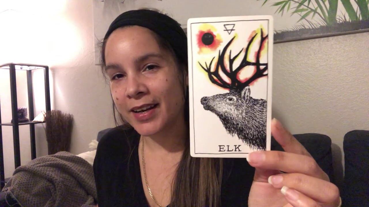 Pisces~ “How they view/feel about you”... loyal hearts