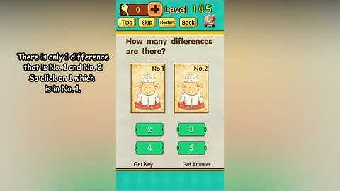 Mr Brain Level 145 How many differences are there?