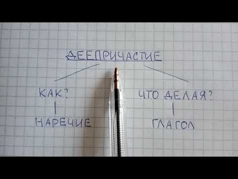 Видео: Что значит дристи?