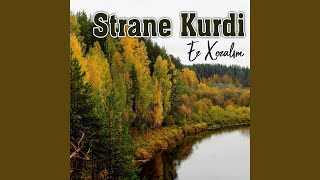 Lo Dılo
