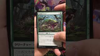 Strixhaven Japanese Alt Art Chase Box 2 Day: 3 #mtg #alternateart #pulls