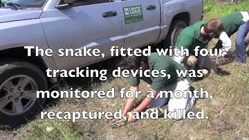 Biologists Track Florida