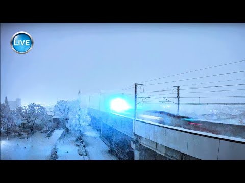 🎄東北新幹線(郡山市街) LIVE🔴REC ライブカメラ MAX320km/h Shinkansen TOHOKU🗾Japan↖️Tokyo