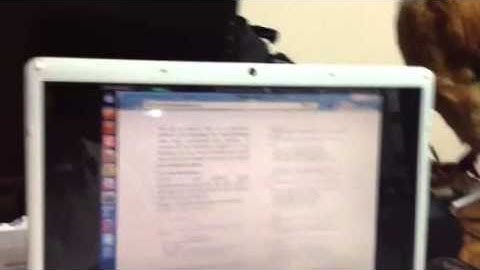 Programando en abl y openxava