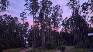 We bought 20-Acres of Raw Land in Florida - 4 Years Later... 
