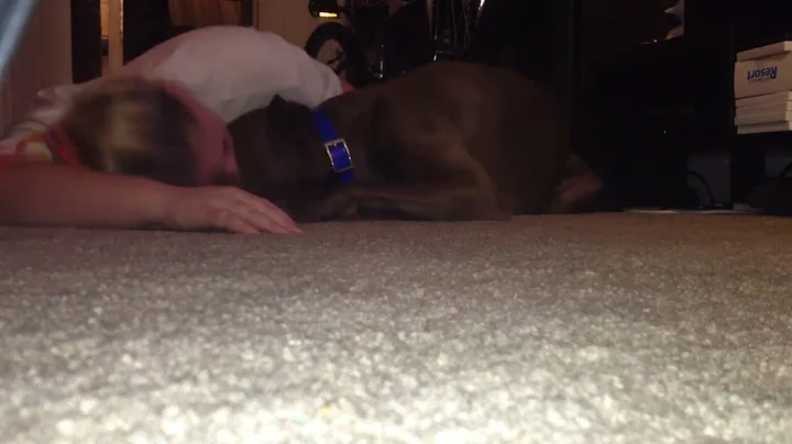 Service dog blocking handlers head during seizure