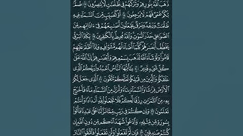 الشيخ عبد الباري محمد سورة البقرة.
