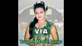 Lagu Sedih ❗ TRAGEDI MULIH LUNGO Voc.VIA ANJASMARA Cipt:Wagiran Tayub Setyo pradonggo