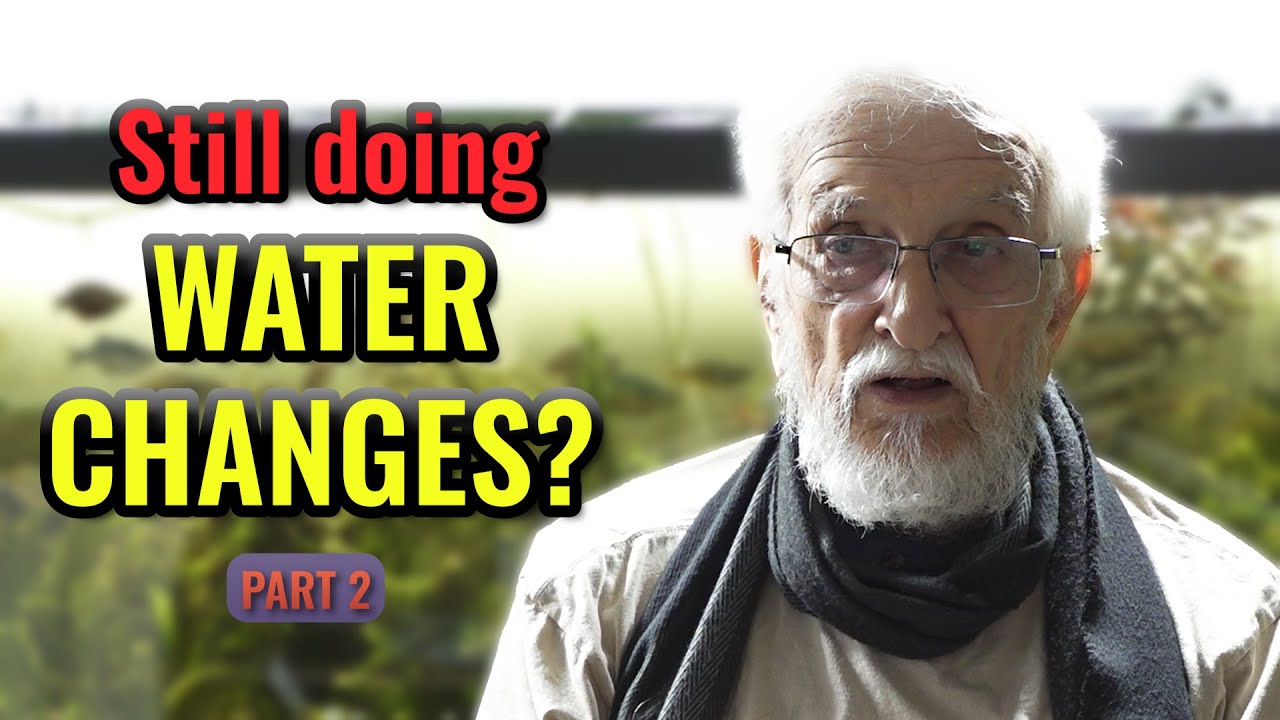 The Fundamentals of Water - Part 2 - YouTube