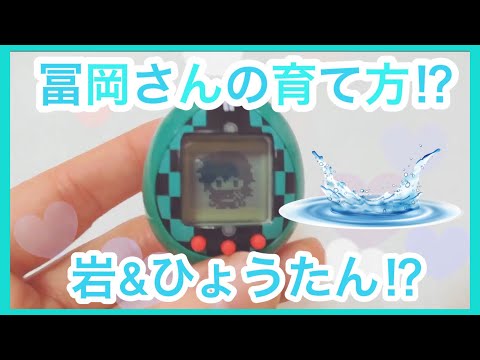 きめつたまごっち】(12)全キャラクター目指す！冨岡義勇になった育て方