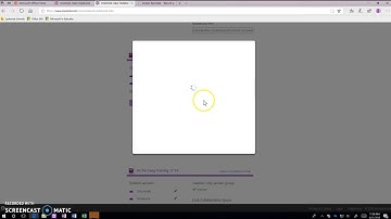 Managing the Collaboration Space in OneNote