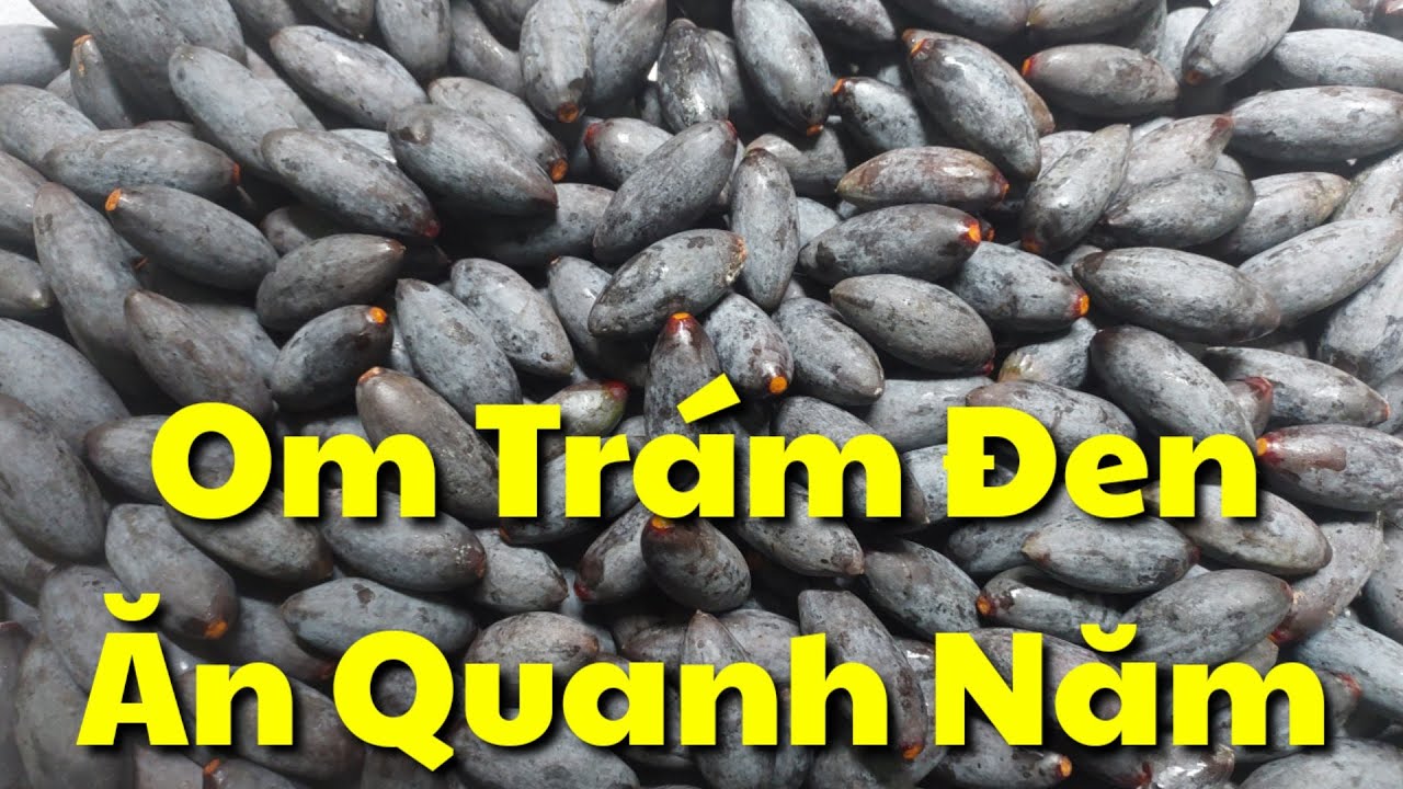 Cách Om Trám Đen Để Được Lâu Cực Chuẩn | Om Trám Đen Chuẩn