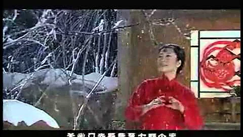 白毛女《北風吹》彭麗媛(1)--中國第一夫人 - 天天要聞