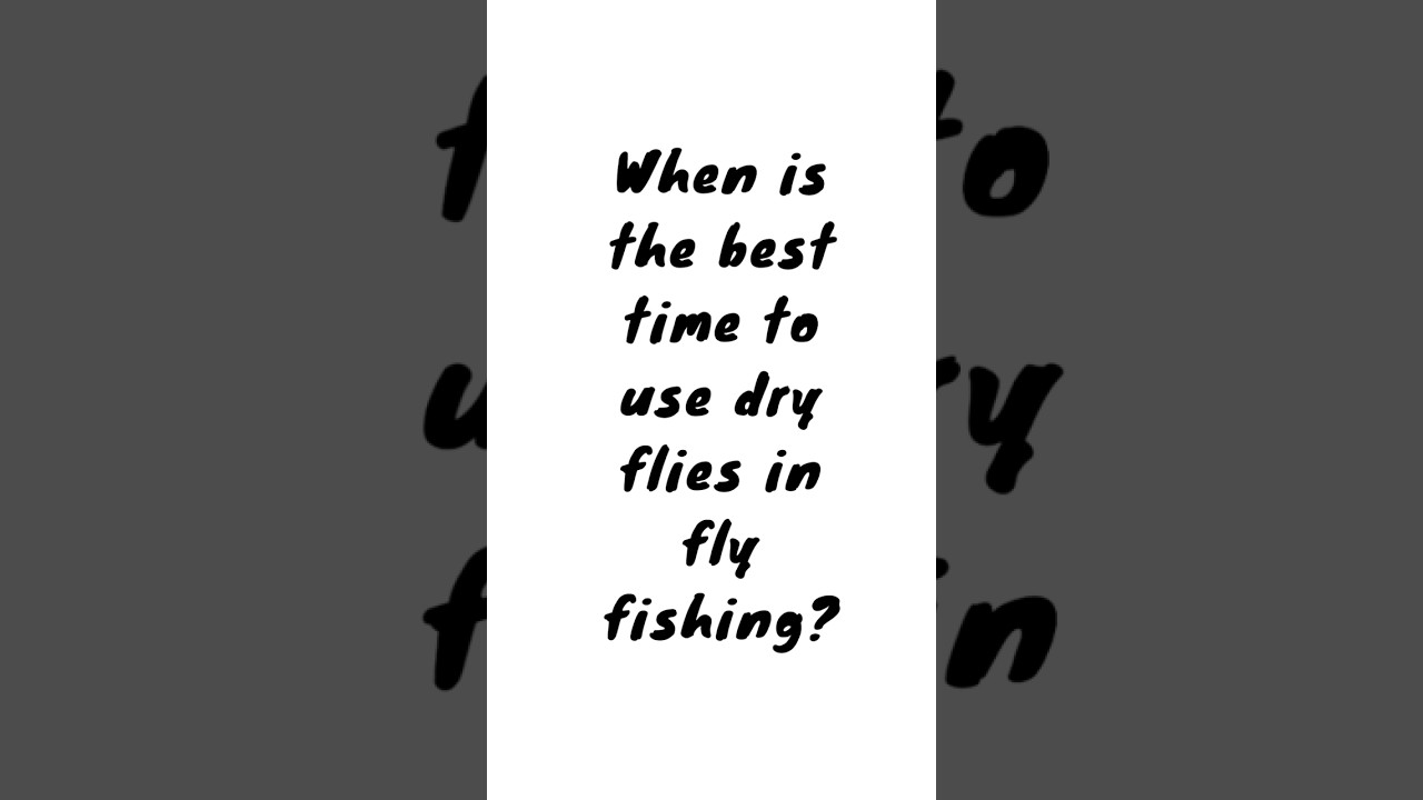 When is the best time to use dry flies in Fly Fishing?