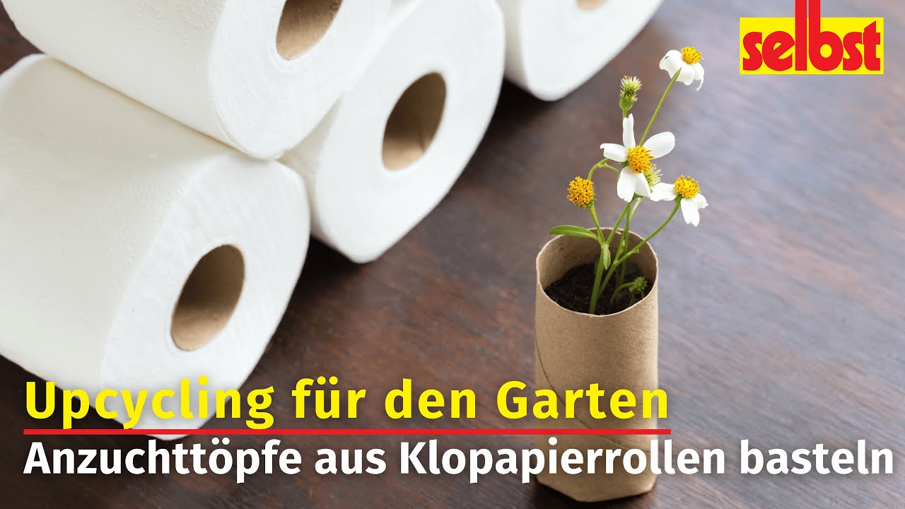 Anzuchttpfe aus Klopapierrollen selbst basteln