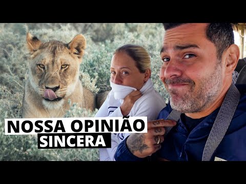 COMO É UM SAFÁRI NA NAMÍBIA (com preços) - Parque Nacional Etosha