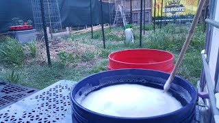 Foliar feeding aloe vera +saponin wetting agent!|OKLAHOMA ORGANIC SUNGROWN MARIJUANA|